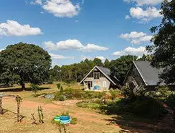 Modimolle Funky Stay | Limpopo - Waterberg District - Modimolle - Nylstroom