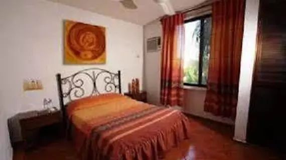 Hotel Los Girasoles | Quintana Roo - Benito Juárez - Cancun (ve civarı) - Cancun - Cancun Merkezi