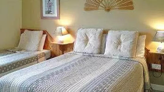 Fern Rock B&B | Kerry (kontluk) - Milltown