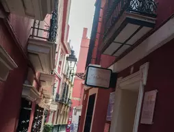 Apartamentos Murillo | Andalucia - Seville İli - Sevilla - Casco Antiguo