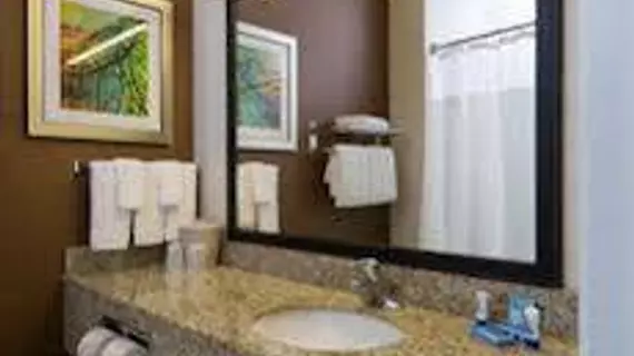 Fairfield Inn & Suites Sacramento Rancho Cordova | Kaliforniya - Sacramento (ve civarı) - Rancho Cordova