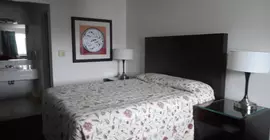 Cougar Land Motel | Washington - Pullman (ve civarı) - Pullman