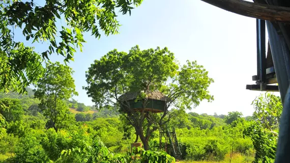 Beddegama Ecopark - Yala | Monaragala Bölgesi - Kataragama