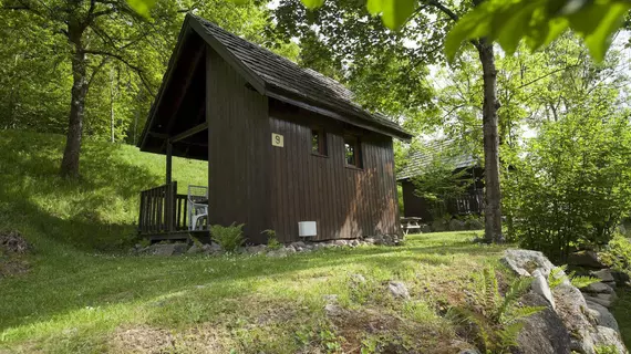 Auberge et Chalets de la Wormsa | Grand Est - Haut-Rhin (bölge) - Metzeral