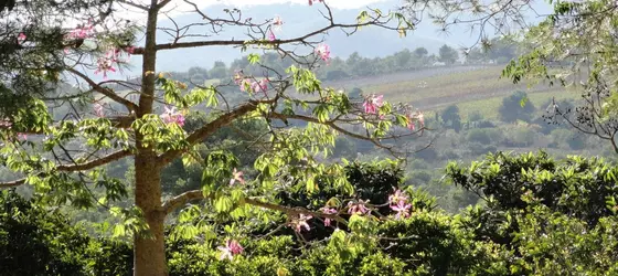 Finca Son Blat | Balearic Adaları - Mayorka Adası - Llevant