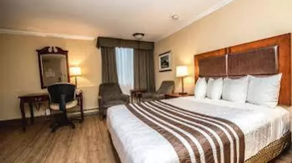 Best Western Plus Ottawa City Centre | Ontario - Ottawa (ve civarı) - Ottawa