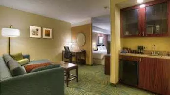 SpringHill Suites by Marriott - Tampa Brandon | Florida - Tampa (ve civarı) - Tampa