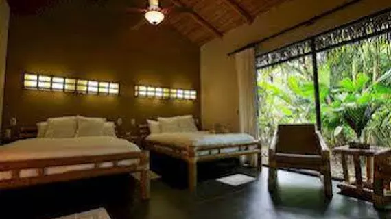 Clandestino Beach Resort | Puntarenas (ili) - Quepos (ve civarı) - Parrita