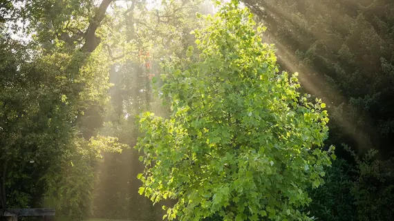 Woodbrooke Quaker Study Centre | West Midlands (ilçe) - Birmingham (ve civarı) - Birmingham