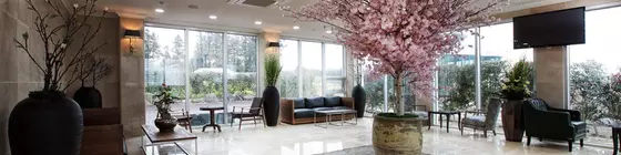 Aria Hotel | Jeju Adası - Seogwipo - Jungmun