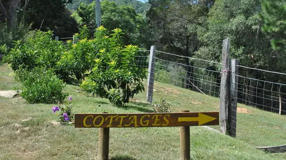 Dayboro Cottages and Llama Walks | Queensland - Brisbane (ve civarı) - King Scrub