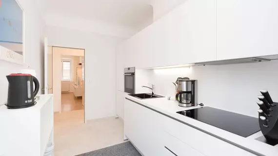 Jupiter Apartment Dorotheergasse | Vienna (eyalet) - Viyana - Innere Stadt