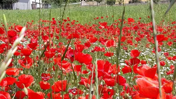 FILIPPONE HOTEL & RISTORANTE | Abruzzo - L'Aquila (il) - Gioia dei Marsi