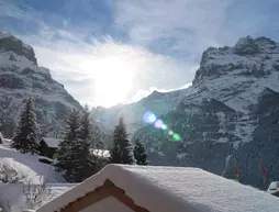 Alpenhof | Bern Kantonu - Grindelwald