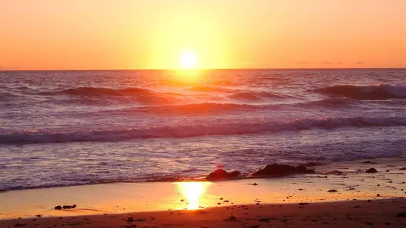 Starfish Manor Oceanfront Hotel | Oregon - Oregon Coast - Lincoln City