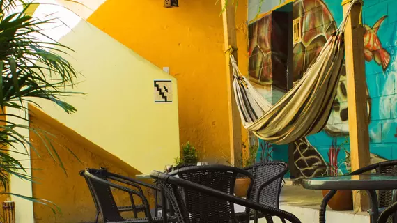 Hostal Las Tortugas | Bolivar - Cartagena (ve civarı) - Cartagena - Cartagena Walled City (Duvarlı Şehir)