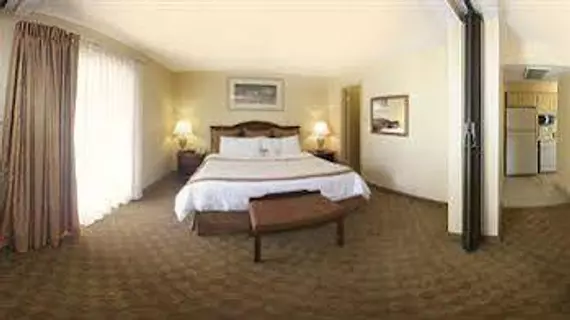 Hawthorn Suites Dallas Love Field | Teksas - Dallas (ve civarı) - Dallas