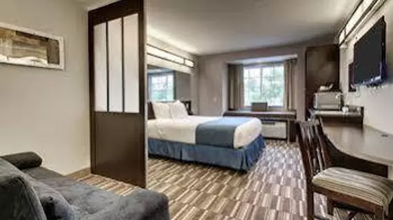 Microtel Inn & Suites by Wyndham Tuscaloosa | Alabama - Tuscaloosa (ve civarı) - Tuscaloosa