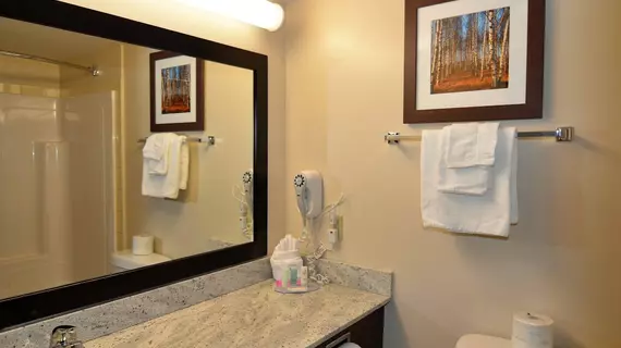 Quality Inn Airport | New Brunswick - Moncton (ve civarı) - Dieppe