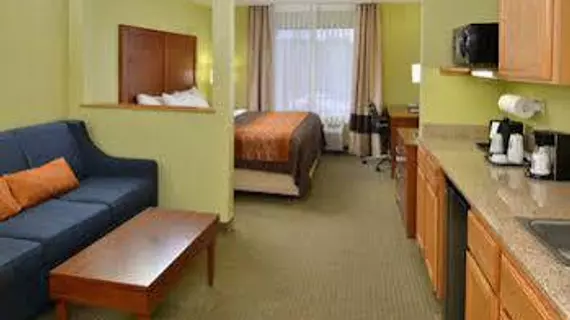 Comfort Inn & Suites Black River Falls | Wisconsin - Black River Şelaleleri (ve civarı) - Black River Şelaleleri