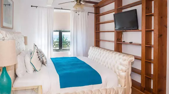 Netherland Apartments by Royal Stays | Florida - Miami Beach - Güney Plajı