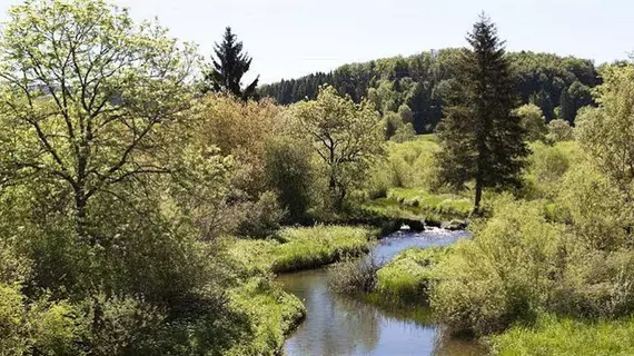 Au Moulin des Truites Bleues | Bourgogne-Franche-Comte - Jura (bölge) - Fort-du-Plasne