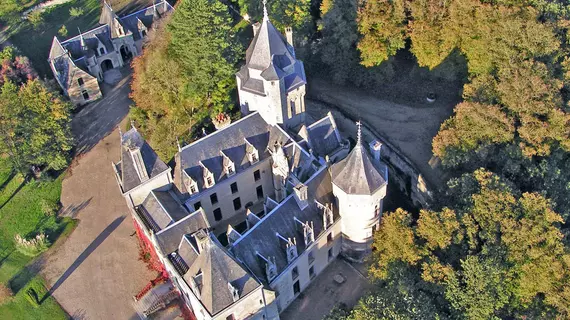 Demeure Château de Ternay | Nouvelle-Aquitaine - Vienne (bölge) - Ternay