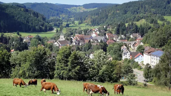 Hotel Schwörer | Baden-Wuerttemberg - Lenzkirch