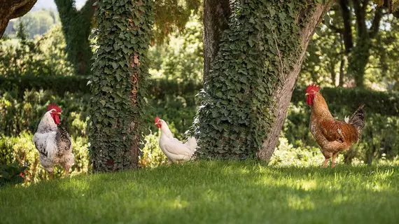 Hotel Villa Montegranelli | Umbria - Perugia (vilayet) - Gubbio