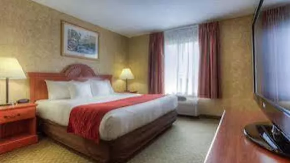 Comfort Inn & Suites | Kentucky - Owensboro (ve civarı) - Rockport