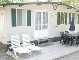 Camping Village Punta Navaccia | Umbria - Perugia (vilayet) - Tuoro sul Trasimeno