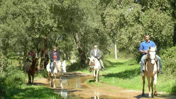 Monte Cabeço do Ouro | Alentejo - Setubal (bölge) - Grandola