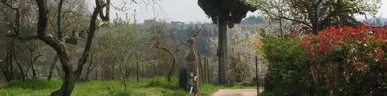 Agriturismo La Torretta | Toskana - Siena (vilayet) - Siena