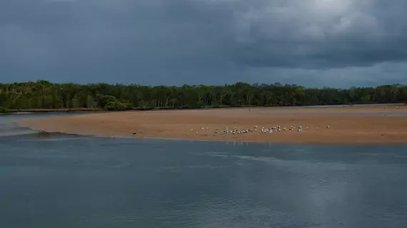 Ngaalgan | New South Wales - Coffs Limanı (ve civarı) - Red Rock