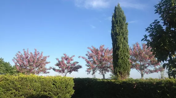 Agriturismo Frattavecchia | Umbria - Perugia (vilayet) - Castiglione del Lago