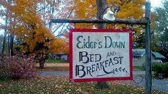 Eider's Down Bed and Breakfast | Ontario - Barrie - Orillia (ve civarı) - Innisfil