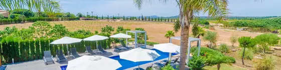 DaltPaulonia | Balearic Adaları - Mayorka Adası - Llevant