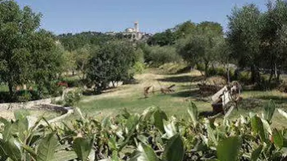 Agriturismo Poponi | Umbria - Perugia (vilayet) - Todi