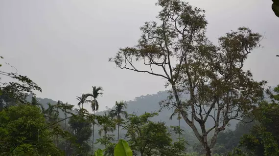 Yedamakky Cottage | Karnataka - Kodagu - Virajpet