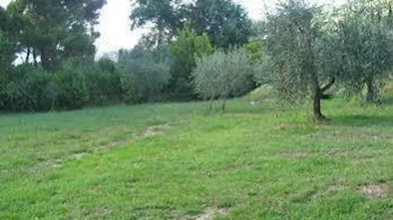 Casina Di Salcotto | Toskana - Arezzo (vilayet) - Cortona