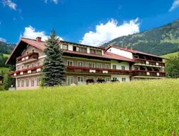 Hotel Kerschbaumer | Salzburg (eyalet) - Hallein - Russbach am Pass Gschuett