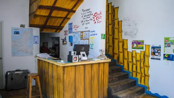 Hostal Vive la Vida | Quintana Roo - Solidaridad - Playa del Carmen - Centro