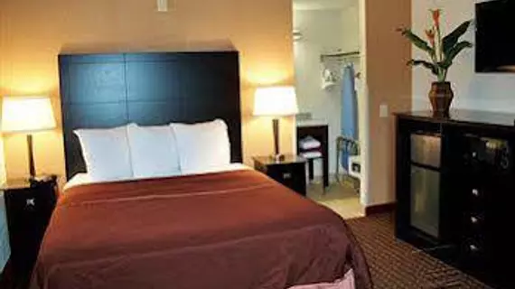 Americas Best Value Inn Romulus/Detroit Airport | Michigan - Detroit (ve civarı) - Romulus