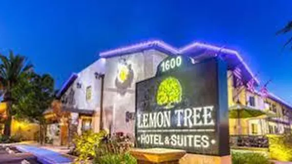 The Lemon Tree Hotel | Kaliforniya - Orange County - Anaheim