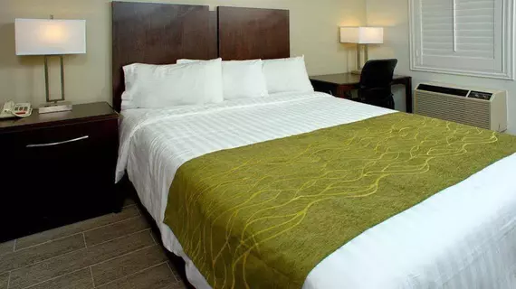 Hi View Inn & Suites | Kaliforniya - Los Angeles County - Torrance