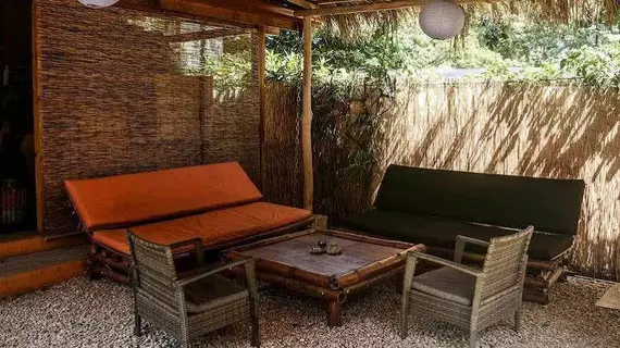 Hostel Dos Monos | Puntarenas (ili) - Cobano - Santa Teresa