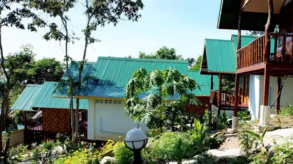 Phi Phi Jungle Hill Bungalow | Krabi İli - Ko Phi Phi