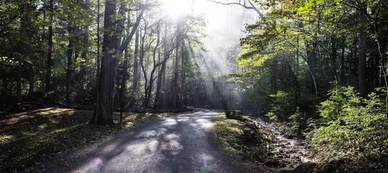 Dancing Bear Lodge | Tennessee - Gatlinburg - Pigeon Forge (ve civarı) - Townsend