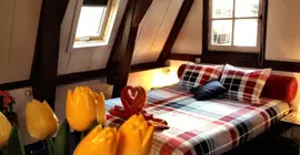 Tulip of Amsterdam B&B | Kuzey Hollanda - Amsterdam - Amsterdam Merkezi