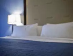 Holiday Inn Express & Suites Edwardsville | Missouri - St. Louis (ve civarı) - Edwardsville